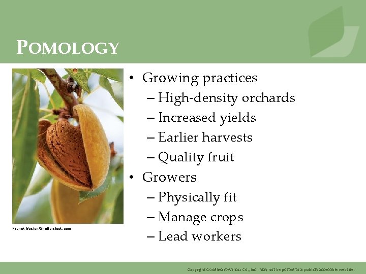 POMOLOGY Franck Boston/Shutterstock. com • Growing practices – High-density orchards – Increased yields –