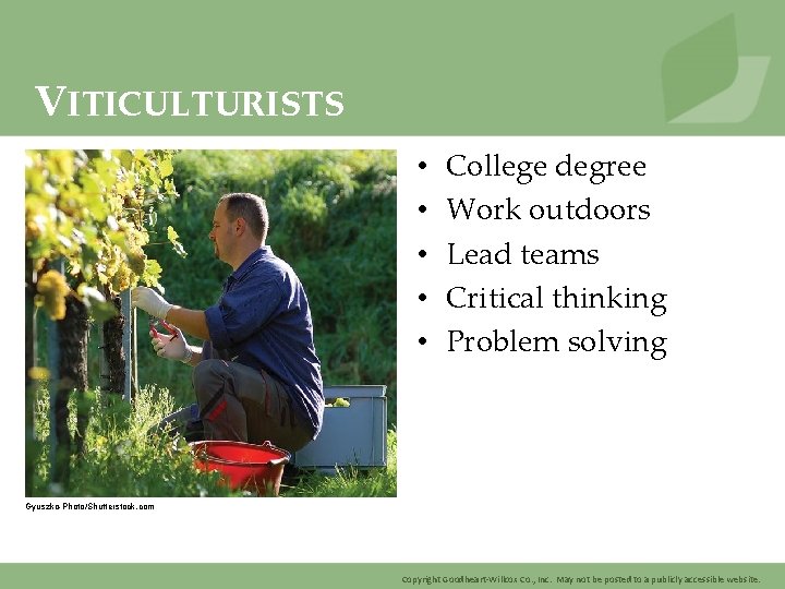VITICULTURISTS • • • College degree Work outdoors Lead teams Critical thinking Problem solving