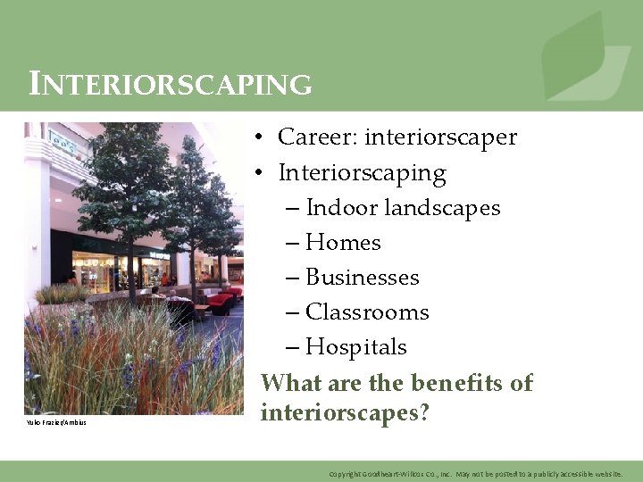 INTERIORSCAPING Yuko Frazier/Ambius • Career: interiorscaper • Interiorscaping – Indoor landscapes – Homes –