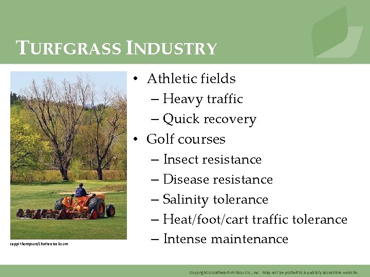 TURFGRASS INDUSTRY cappi thompson/Shutterstock. com • Athletic fields – Heavy traffic – Quick recovery