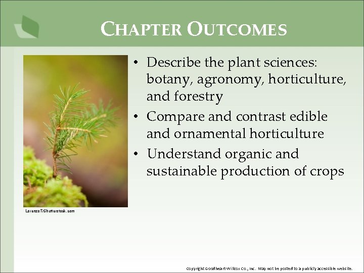 CHAPTER OUTCOMES • Describe the plant sciences: botany, agronomy, horticulture, and forestry • Compare