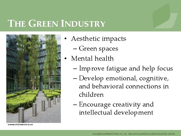 THE GREEN INDUSTRY • Aesthetic impacts – Green spaces • Mental health – Improve