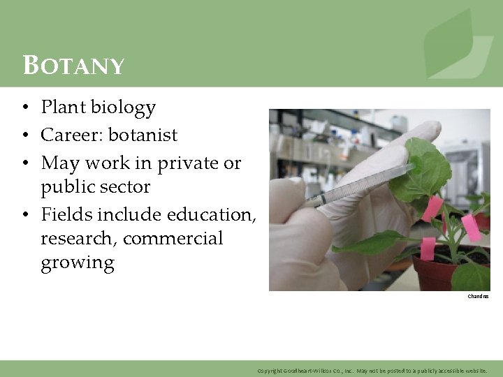BOTANY • Plant biology • Career: botanist • May work in private or public
