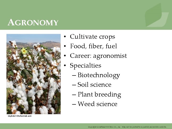 AGRONOMY • • Cultivate crops Food, fiber, fuel Career: agronomist Specialties – Biotechnology –