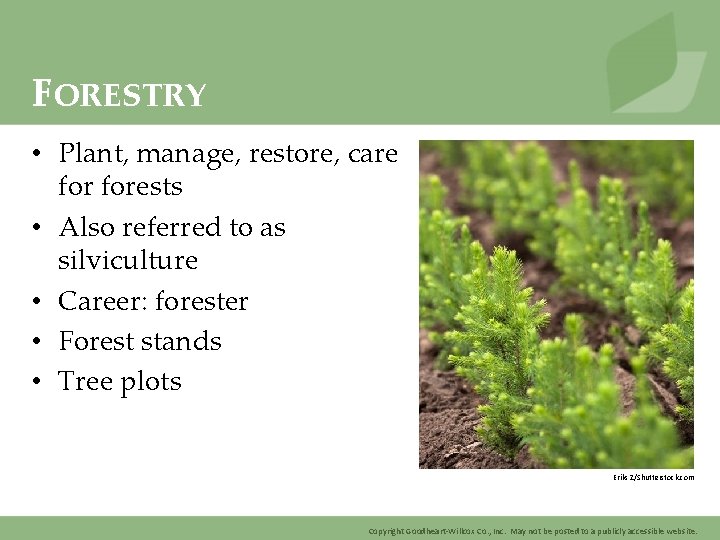 FORESTRY • Plant, manage, restore, care forests • Also referred to as silviculture •