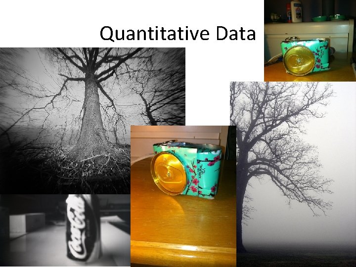 Quantitative Data 