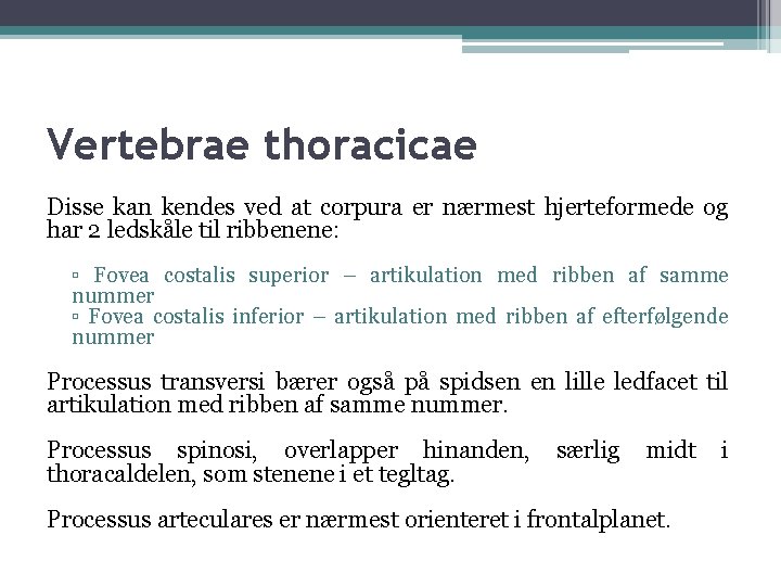 Vertebrae thoracicae Disse kan kendes ved at corpura er nærmest hjerteformede og har 2