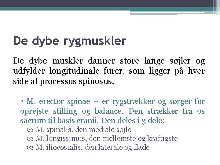 De dybe rygmuskler De dybe muskler danner store lange søjler og udfylder longitudinale furer,