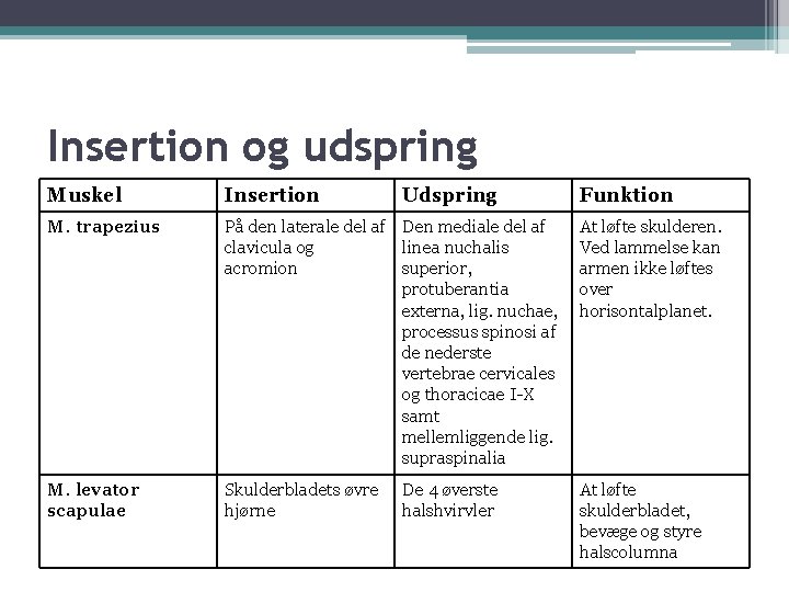 Insertion og udspring Muskel Insertion Udspring M. trapezius På den laterale del af Den