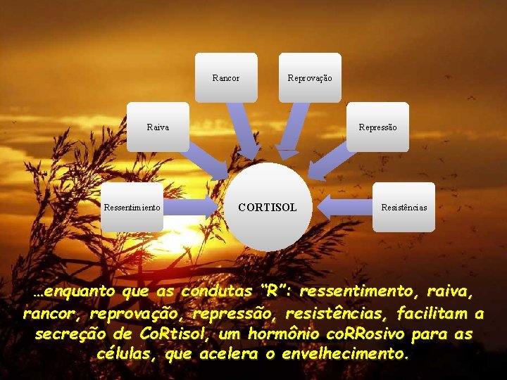 Rancor Reprovação Raiva Ressentimiento Repressão CORTISOL Resistências …enquanto que as condutas “R”: ressentimento, raiva,