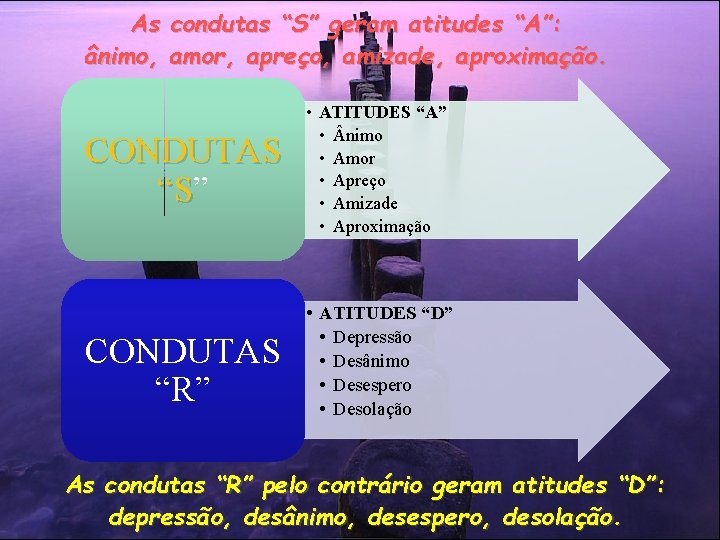 As ânimo, condutas “S” geram atitudes “A”: amor, apreço, amizade, aproximação. CONDUTAS “S” “S