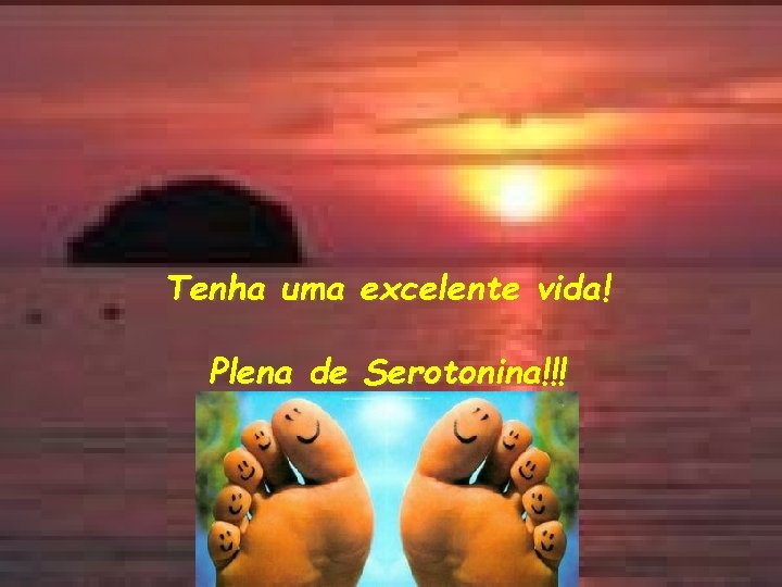 Tenha uma excelente vida! Plena de Serotonina!!! 