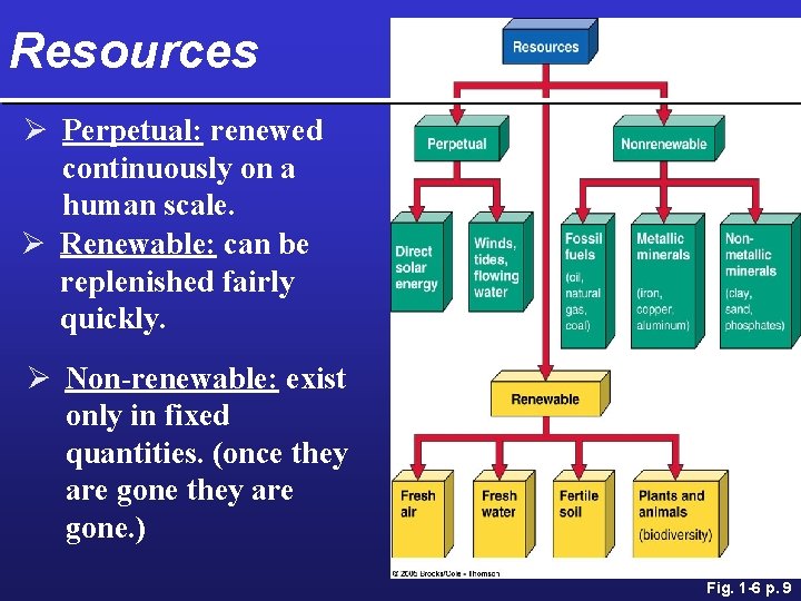 Resources Ø Perpetual: renewed continuously on a human scale. Ø Renewable: can be replenished