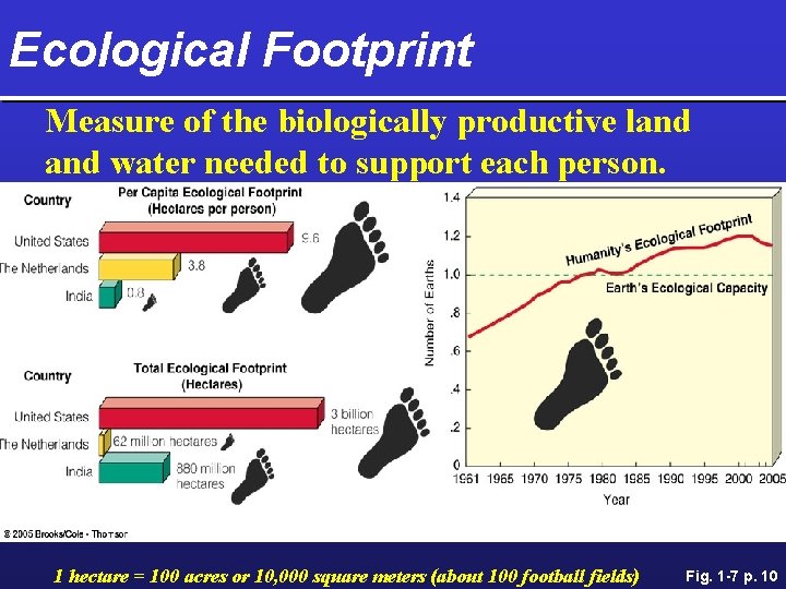 Ecological Footprint Measure of the biologically productive land water needed to support each person.
