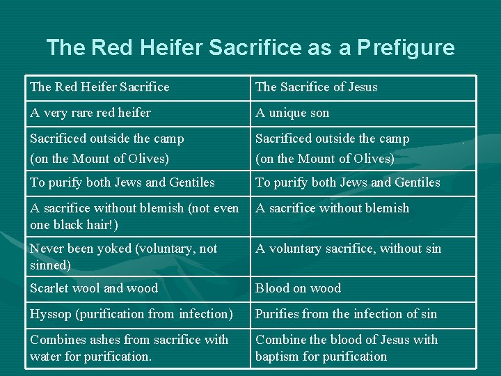 The Red Heifer Sacrifice as a Prefigure The Red Heifer Sacrifice The Sacrifice of