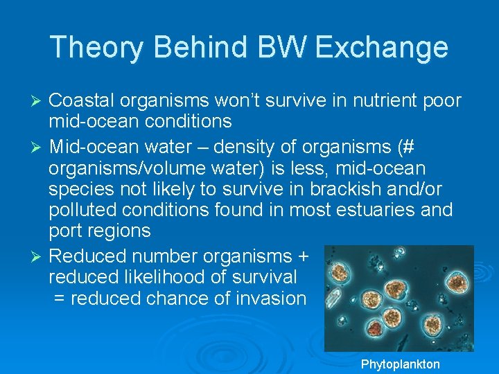 Theory Behind BW Exchange Coastal organisms won’t survive in nutrient poor mid-ocean conditions Ø