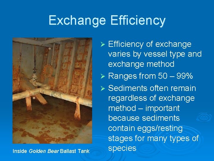 Exchange Efficiency of exchange varies by vessel type and exchange method Ø Ranges from