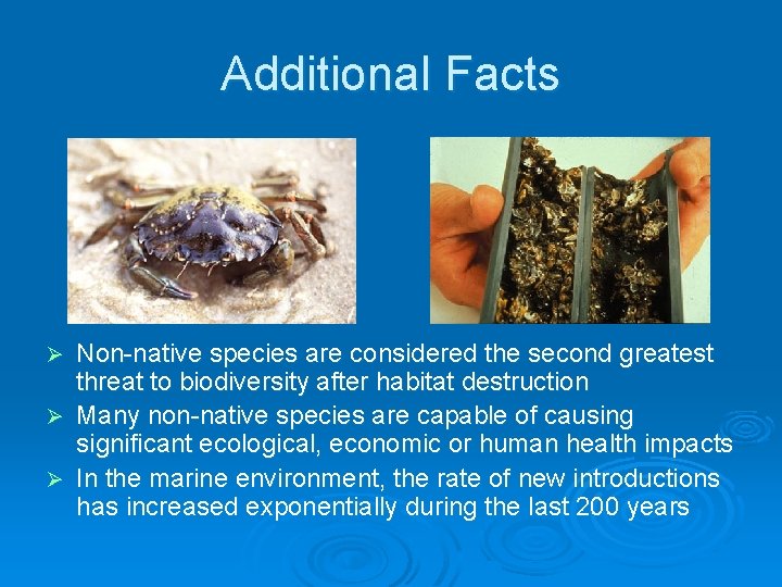 Additional Facts Non-native species are considered the second greatest threat to biodiversity after habitat