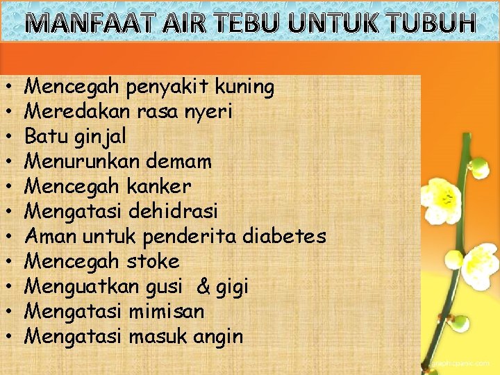 MANFAAT AIR TEBU UNTUK TUBUH • • • Mencegah penyakit kuning Meredakan rasa nyeri