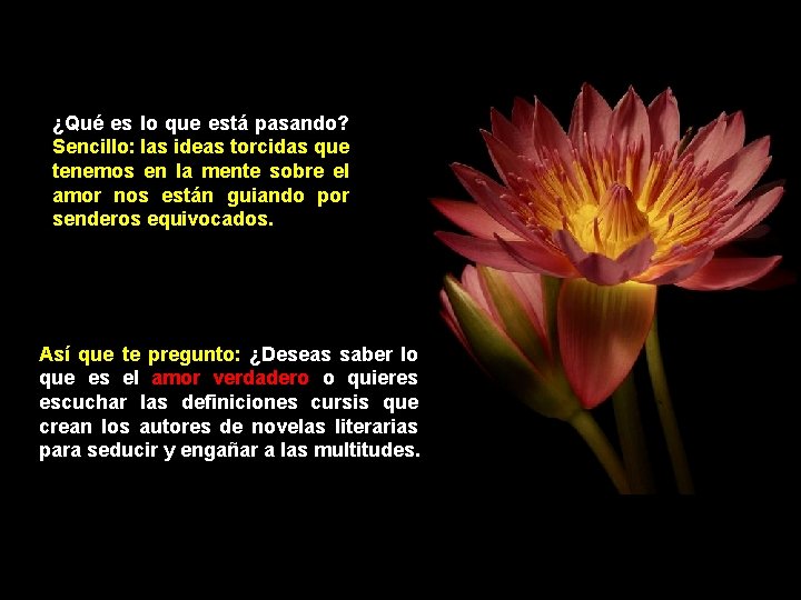 ¿Qué es lo que está pasando? Sencillo: las ideas torcidas que tenemos en la