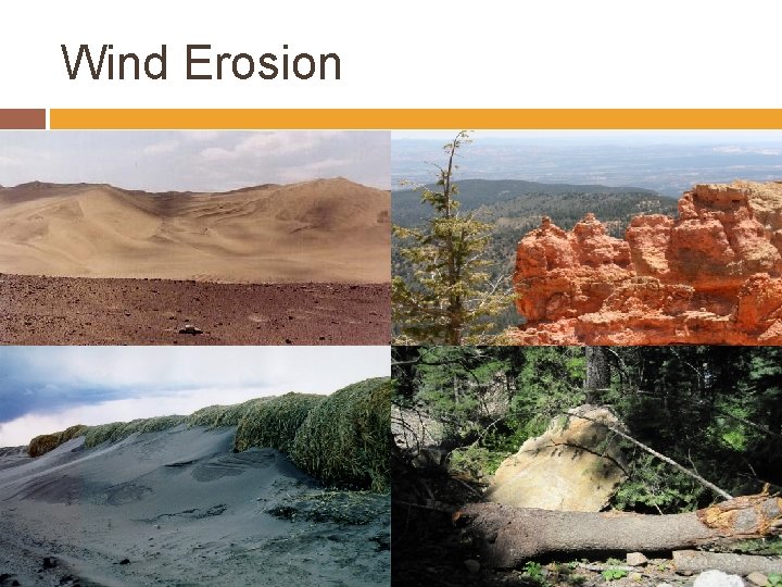 Wind Erosion 