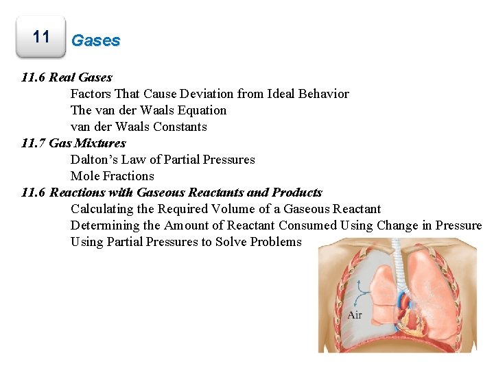 11 Gases 11. 6 Real Gases Factors That Cause Deviation from Ideal Behavior The