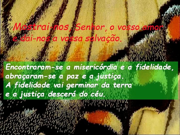 Mostrai-nos, Senhor, o vosso amor e dai-nos a vossa salvação. Encontraram-se a misericórdia e