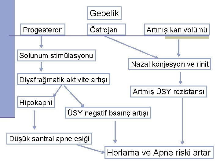 Gebelik Progesteron Östrojen Artmış kan volümü Solunum stimülasyonu Nazal konjesyon ve rinit Diyafrağmatik aktivite