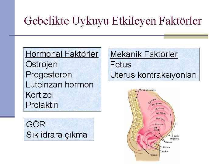 Gebelikte Uykuyu Etkileyen Faktörler Hormonal Faktörler Östrojen Progesteron Luteinzan hormon Kortizol Prolaktin GÖR Sık