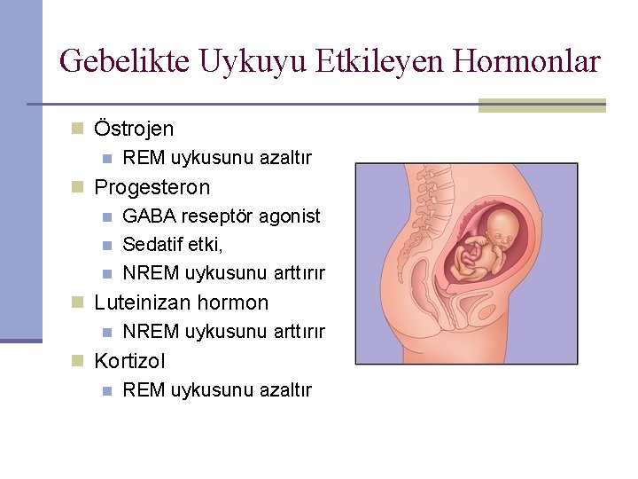 Gebelikte Uykuyu Etkileyen Hormonlar n Östrojen n REM uykusunu azaltır n Progesteron n GABA