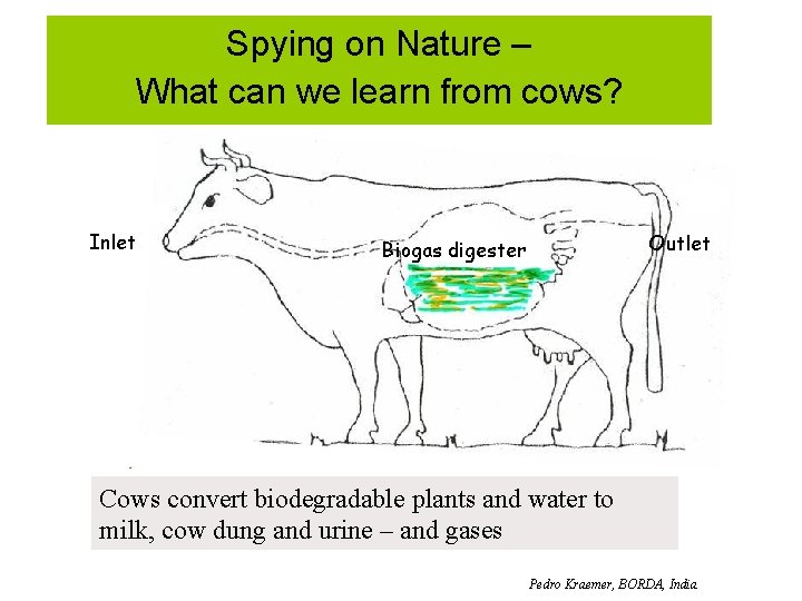 Spying on Nature – What can we learn from cows? Inlet Outlet Biogas digester