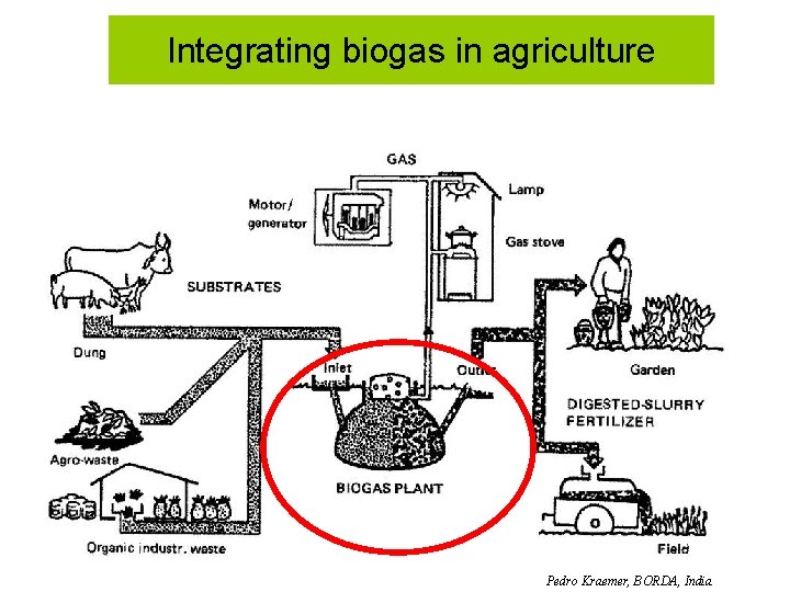 Integrating biogas in agriculture Pedro Kraemer, BORDA, India 