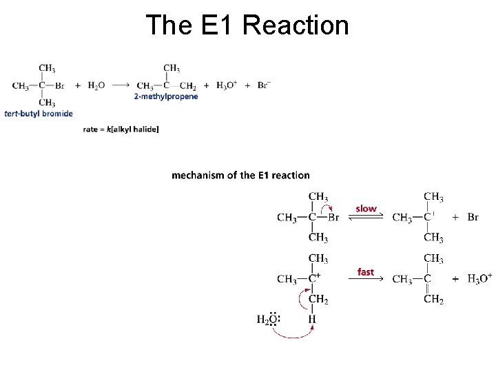 The E 1 Reaction 