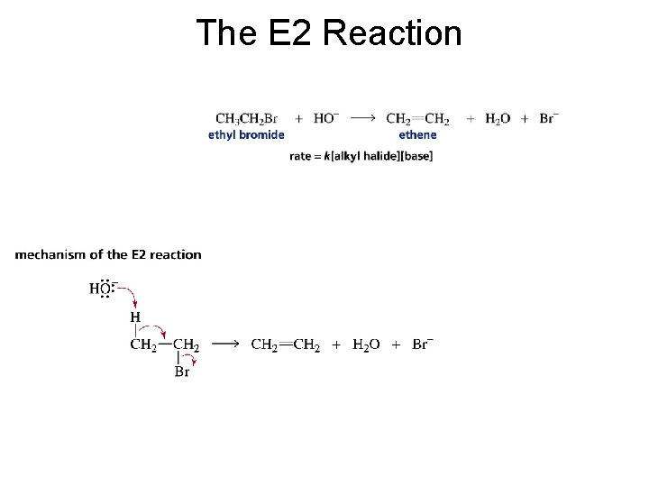 The E 2 Reaction 