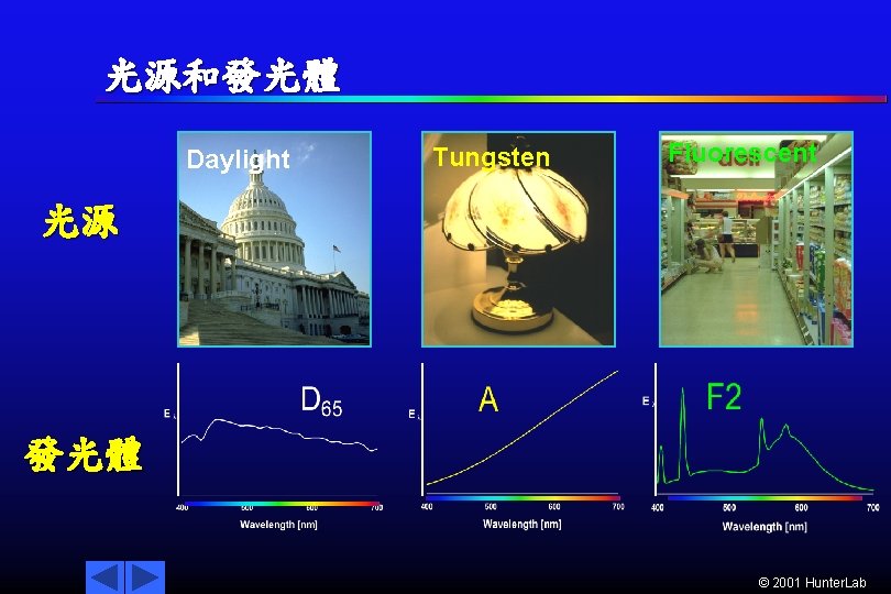 光源和發光體 Daylight Tungsten Fluorescent 光源 發光體 © 2001 Hunter. Lab 