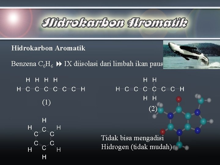 Hidrokarbon Aromatik Benzena C 6 H 6 IX diisolasi dari limbah ikan paus (1)