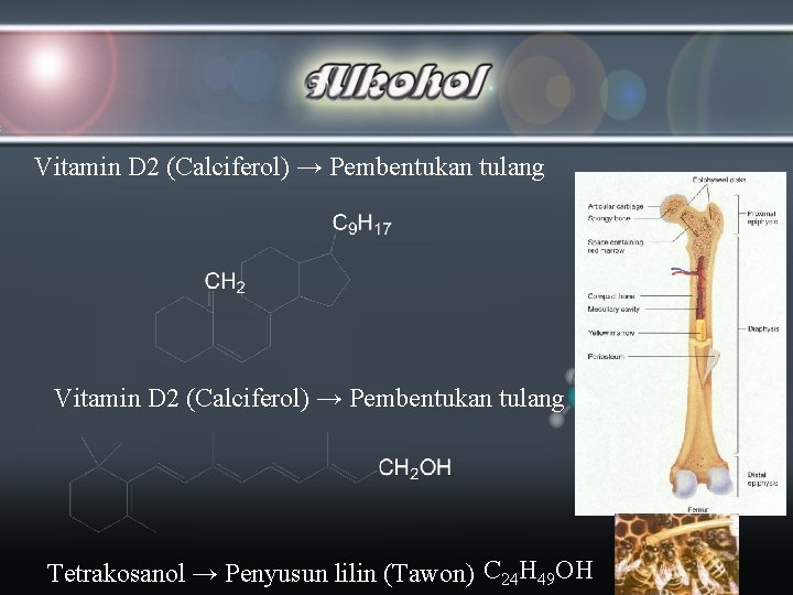 Vitamin D 2 (Calciferol) → Pembentukan tulang Tetrakosanol → Penyusun lilin (Tawon) C 24