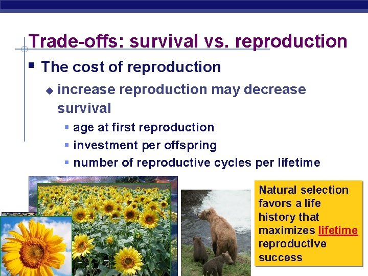 Trade-offs: survival vs. reproduction § The cost of reproduction u increase reproduction may decrease