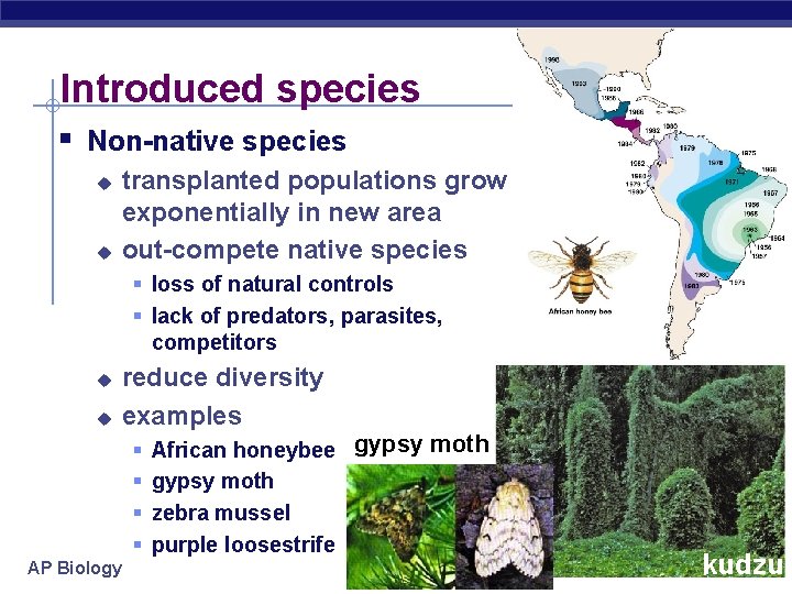 Introduced species § Non-native species u u transplanted populations grow exponentially in new area