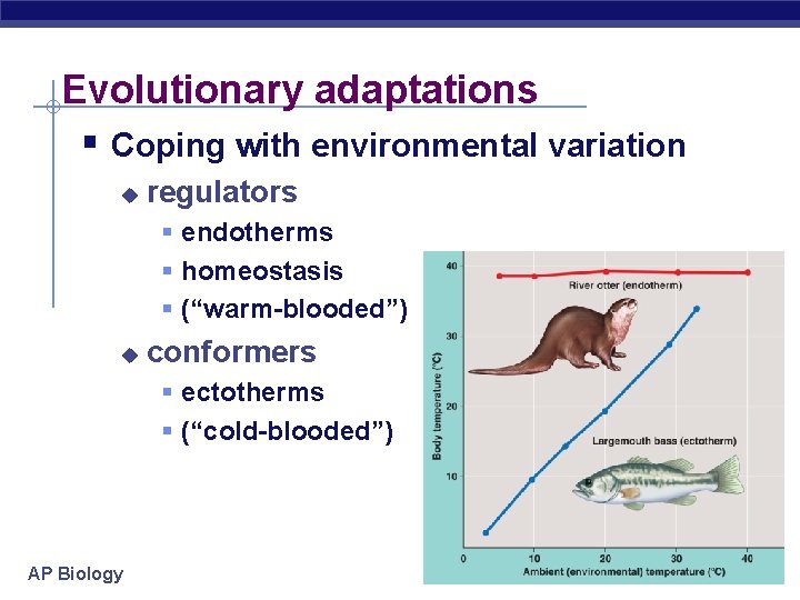 Evolutionary adaptations § Coping with environmental variation u regulators § endotherms § homeostasis §