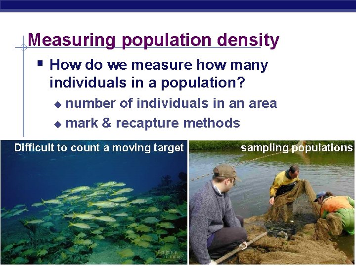 Measuring population density § How do we measure how many individuals in a population?