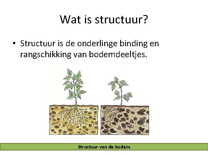 Wat is structuur? • Structuur is de onderlinge binding en rangschikking van bodemdeeltjes. Structuur