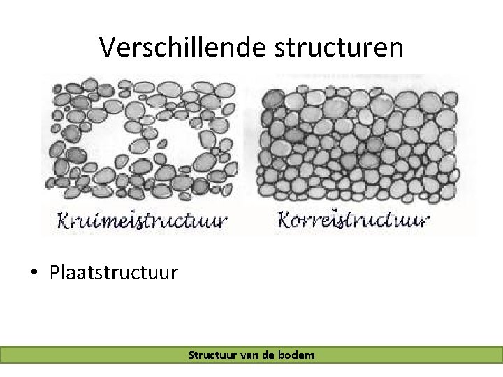 Verschillende structuren • Plaatstructuur Structuur van de bodem 