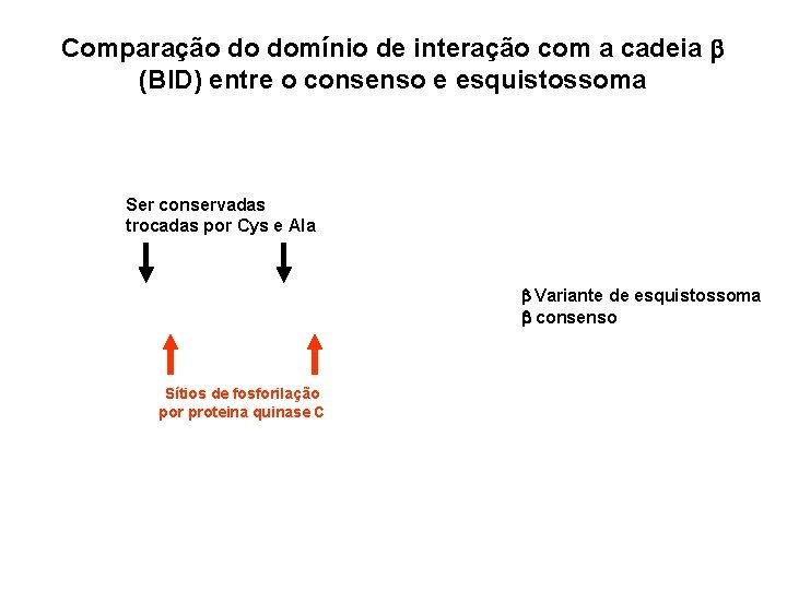 Comparação do domínio de interação com a cadeia b (BID) entre o consenso e