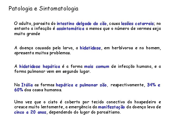 Patologia e Sintomatologia O adulto, parasita do intestino delgado do cão, causa lesões catarrais;