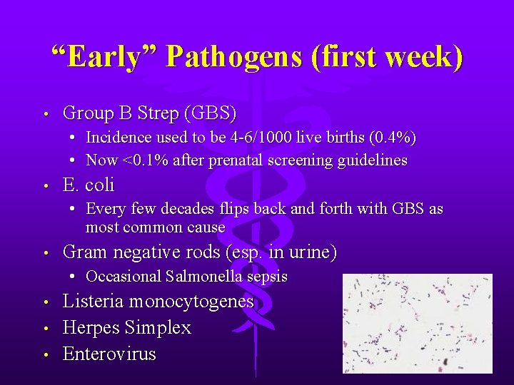 “Early” Pathogens (first week) • Group B Strep (GBS) • • • Incidence used