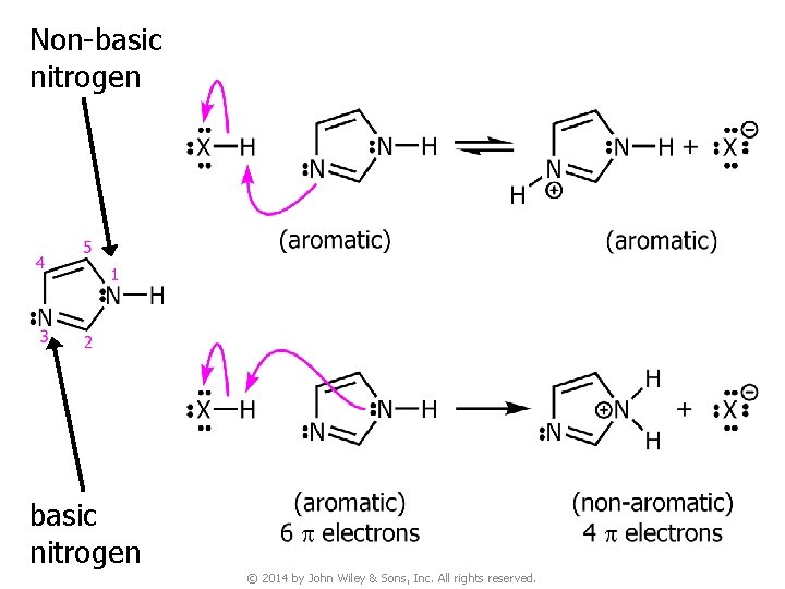 Non-basic nitrogen © 2014 by John Wiley & Sons, Inc. All rights reserved. 