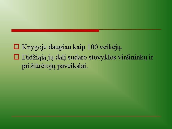 o Knygoje daugiau kaip 100 veikėjų. o Didžiąją jų dalį sudaro stovyklos viršininkų ir