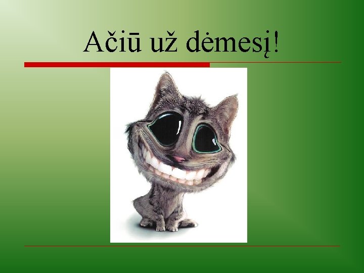 Ačiū už dėmesį! 