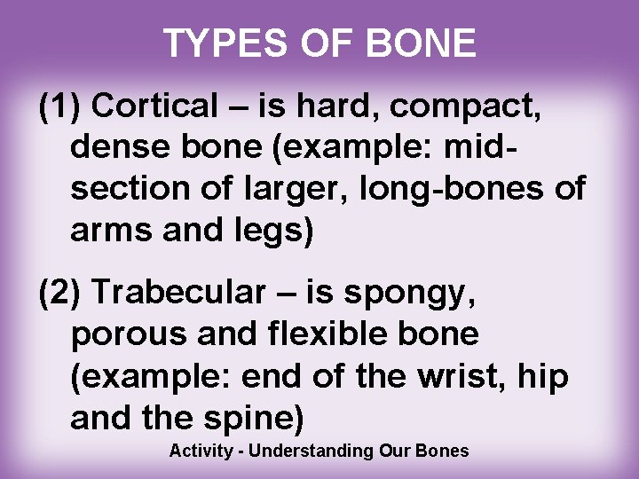 TYPES OF BONE (1) Cortical – is hard, compact, dense bone (example: midsection of